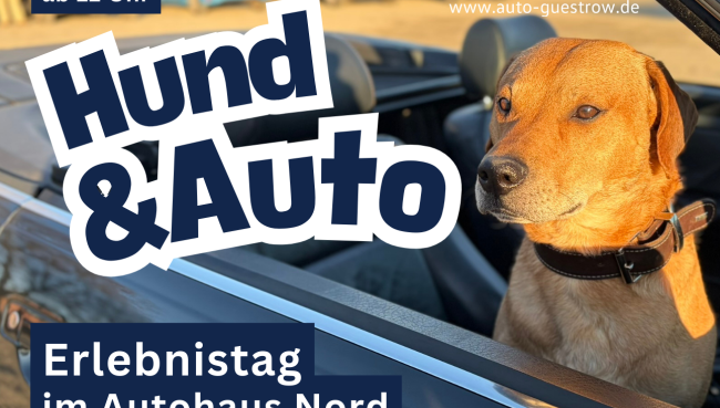 Hund & Auto – Erlebnistag im Autohaus Nord
